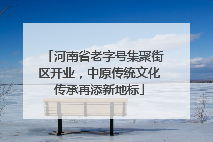 河南省老字号集聚街区开业，中原传统文化传承再添新地标