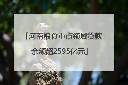 河南粮食重点领域贷款余额超2595亿元