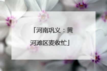 河南巩义：黄河滩区麦收忙