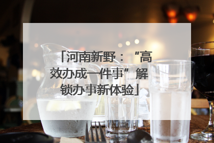 河南新野：“高效办成一件事”解锁办事新体验