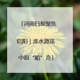 河南日报聚焦信阳｜淮水激荡中原“船”奇