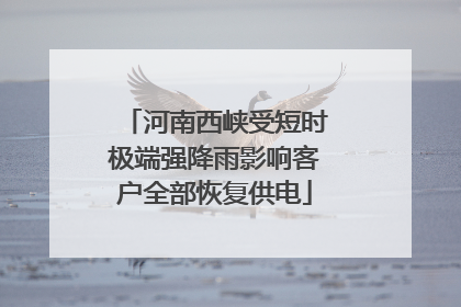 河南西峡受短时极端强降雨影响客户全部恢复供电