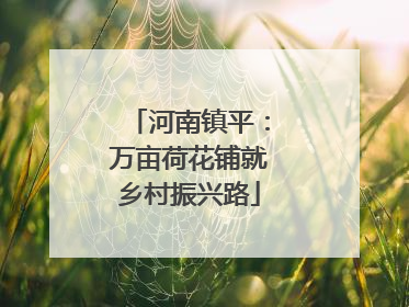 河南镇平：万亩荷花铺就乡村振兴路