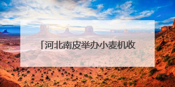 河北南皮举办小麦机收减损“大比武”活动
