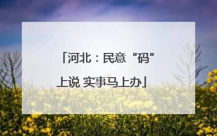 河北：民意“码”上说 实事马上办