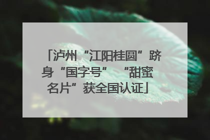 泸州“江阳桂圆”跻身“国字号” “甜蜜名片”获全国认证