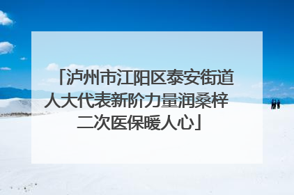 泸州市江阳区泰安街道人大代表新阶力量润桑梓 二次医保暖人心