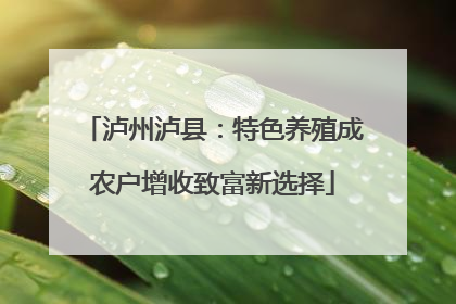 泸州泸县：特色养殖成农户增收致富新选择