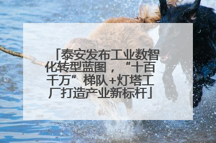 泰安发布工业数智化转型蓝图，“十百千万”梯队+灯塔工厂打造产业新标杆