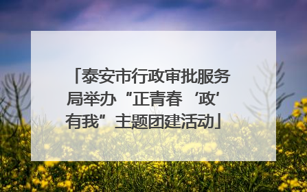 泰安市行政审批服务局举办“正青春‘政’有我”主题团建活动