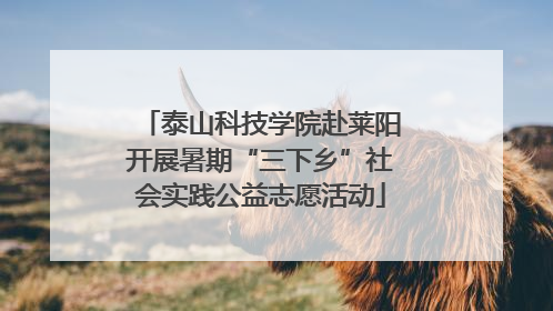 泰山科技学院赴莱阳开展暑期“三下乡”社会实践公益志愿活动