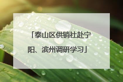 泰山区供销社赴宁阳、滨州调研学习