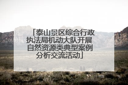 泰山景区综合行政执法局机动大队开展自然资源类典型案例分析交流活动