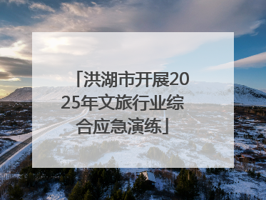 洪湖市开展2025年文旅行业综合应急演练