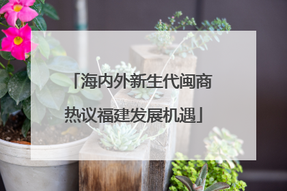 海内外新生代闽商热议福建发展机遇