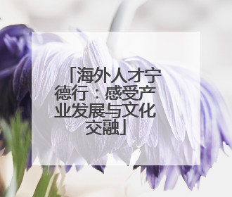 海外人才宁德行：感受产业发展与文化交融
