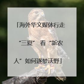 海外华文媒体行走“三夏” 看“新农人”如何逐梦沃野
