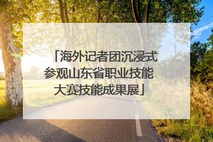 海外记者团沉浸式参观山东省职业技能大赛技能成果展