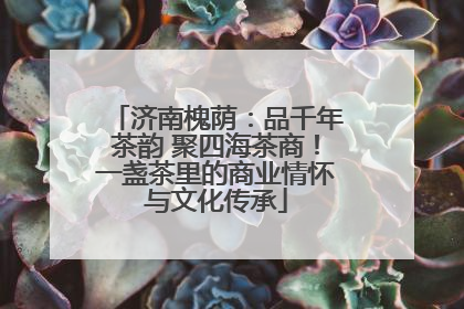 济南槐荫：品千年茶韵 聚四海茶商！一盏茶里的商业情怀与文化传承