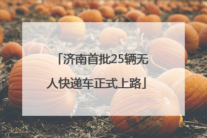 济南首批25辆无人快递车正式上路