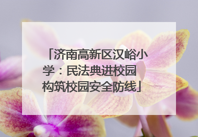 济南高新区汉峪小学：民法典进校园 构筑校园安全防线