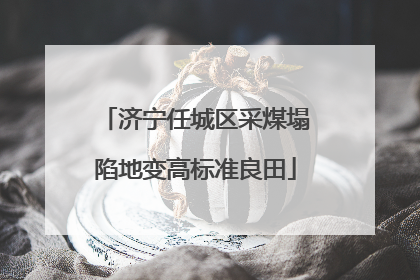 济宁任城区采煤塌陷地变高标准良田