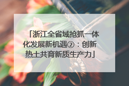浙江全省域抢抓一体化发展新机遇②：创新热土共育新质生产力
