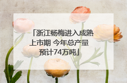 浙江杨梅进入成熟上市期 今年总产量预计74万吨