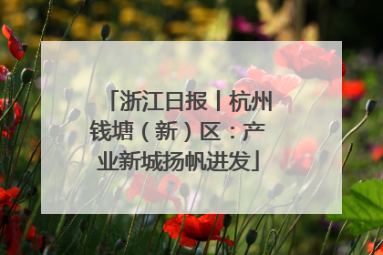 浙江日报丨杭州钱塘（新）区：产业新城扬帆进发