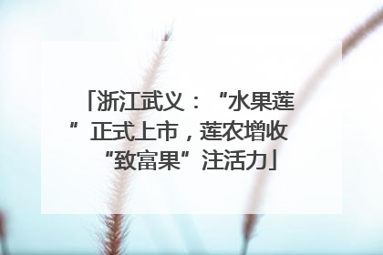 浙江武义：“水果莲”正式上市，莲农增收“致富果”注活力