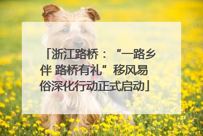 浙江路桥：“一路乡伴 路桥有礼”移风易俗深化行动正式启动