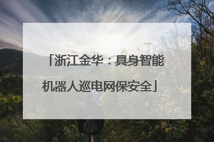 浙江金华：具身智能机器人巡电网保安全