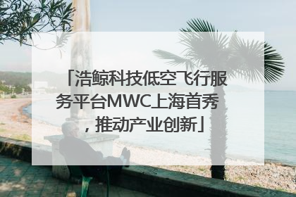 浩鲸科技低空飞行服务平台MWC上海首秀，推动产业创新
