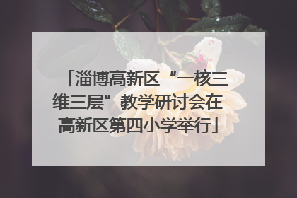 淄博高新区“一核三维三层”教学研讨会在高新区第四小学举行