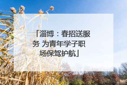 淄博：春招送服务 为青年学子职场保驾护航