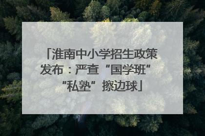 淮南中小学招生政策发布：严查“国学班”“私塾”擦边球