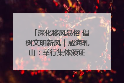 深化移风易俗 倡树文明新风｜威海乳山：举行集体颁证 倡导文明婚俗