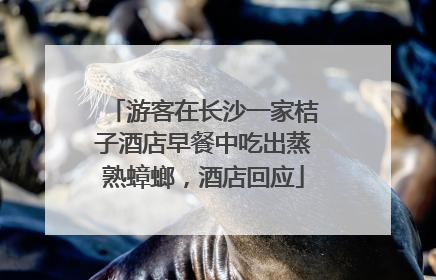游客在长沙一家桔子酒店早餐中吃出蒸熟蟑螂，酒店回应