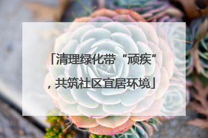 清理绿化带“顽疾”，共筑社区宜居环境
