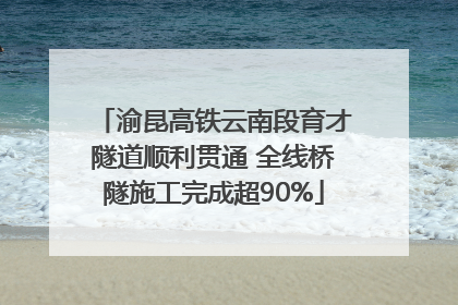 渝昆高铁云南段育才隧道顺利贯通 全线桥隧施工完成超90%