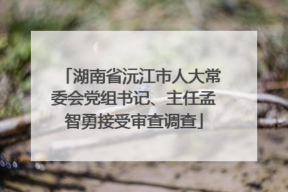 湖南省沅江市人大常委会党组书记、主任孟智勇接受审查调查