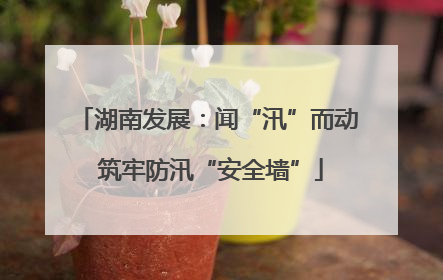 湖南发展：闻“汛”而动 筑牢防汛“安全墙”