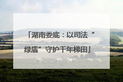 湖南娄底：以司法“绿盾”守护千年梯田