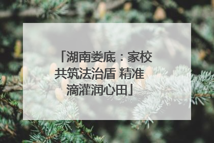 湖南娄底：家校共筑法治盾 精准滴灌润心田