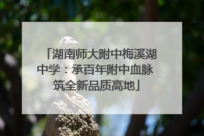 湖南师大附中梅溪湖中学：承百年附中血脉 筑全新品质高地