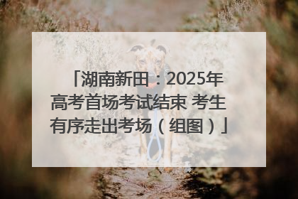 湖南新田：2025年高考首场考试结束 考生有序走出考场（组图）