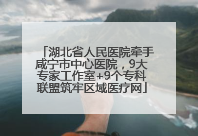 湖北省人民医院牵手咸宁市中心医院，9大专家工作室+9个专科联盟筑牢区域医疗网