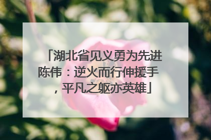 湖北省见义勇为先进陈伟：逆火而行伸援手，平凡之躯亦英雄