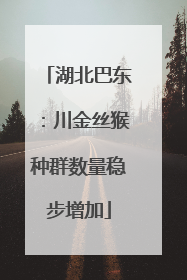 湖北巴东：川金丝猴种群数量稳步增加