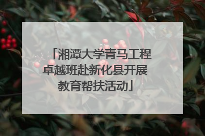 湘潭大学青马工程卓越班赴新化县开展教育帮扶活动